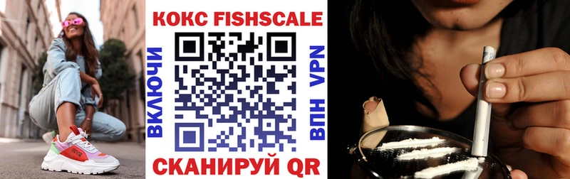 ссылка на мегу сайт как найти закладки Железногорск-Илимский Cocaine Fish Scale