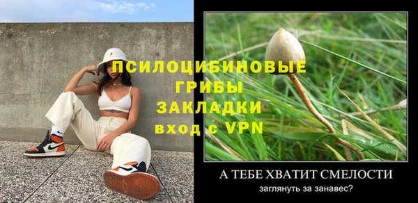 эйфоретик Алексин