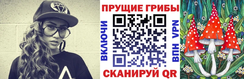 даркнет сайт  ОМГ ОМГ   Галлюциногенные грибы Psilocybe  Железногорск-Илимский 